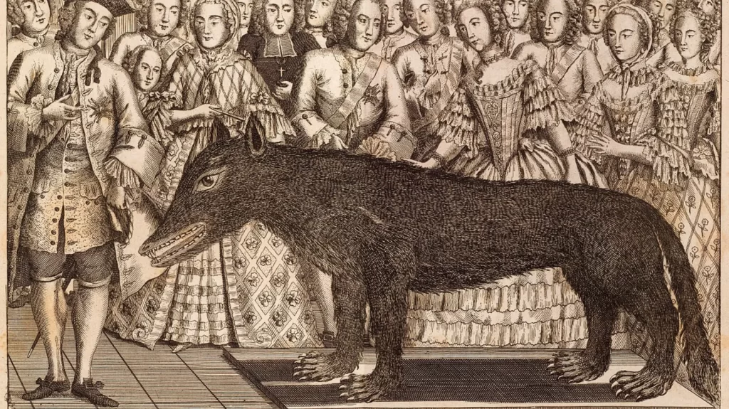 Présentation du loup des Chazes par le fils de François Antoine à la Cour de Versailles, à Paris chez Mandare