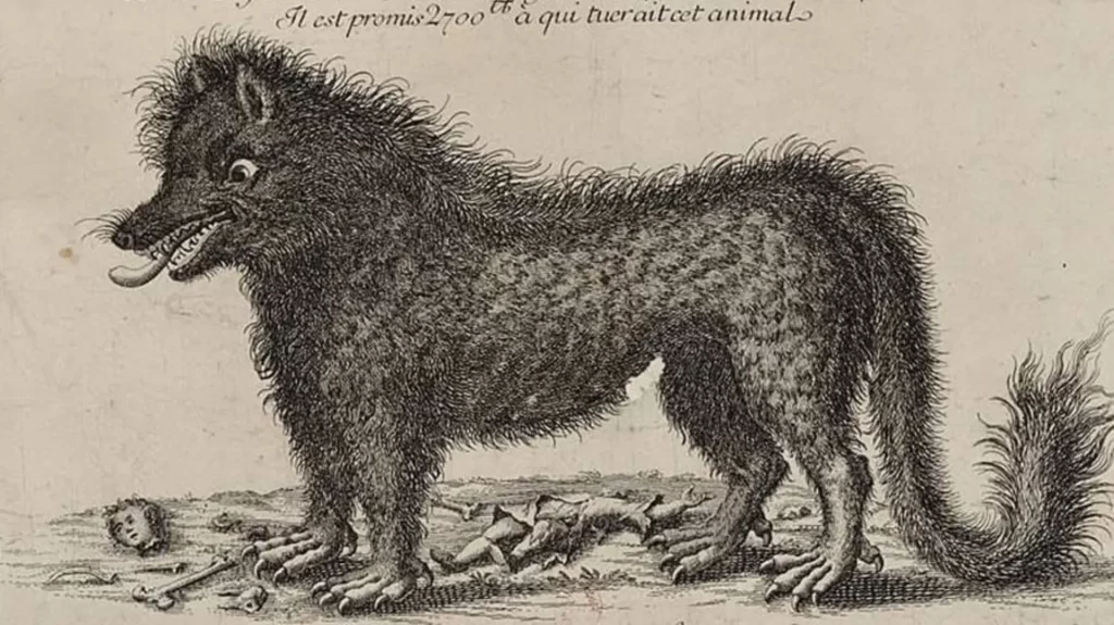 Figure du monstre du Gévaudan